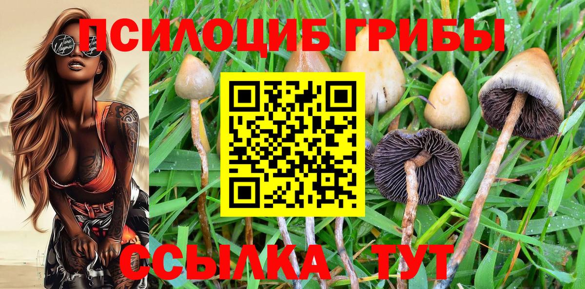 Галлюциногенные грибы GOLDEN TEACHER Великий Новгород